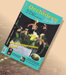 Bericht über Colomi Orchideengranulat von Herrn Dr. Schmidt