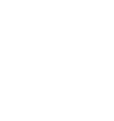 Orchitop und  Colomi Vanda  Granulat ergeben zusammen eine perfekte Vandeen Kultur.