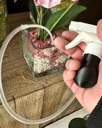 Staunässepumpe für Colomi Orchideensubstrat