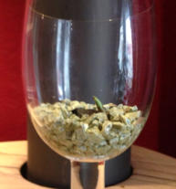 Wachstumsphase verschiedener Orchideen im Colomi