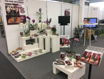 Impressionen von unseren Internationalen Messen