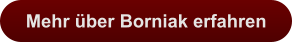 Mehr über Borniak erfahren