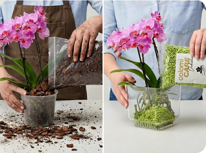 Mit Colomi Orchideengranulat bleiben Hände und Arbeitsflächen sauber